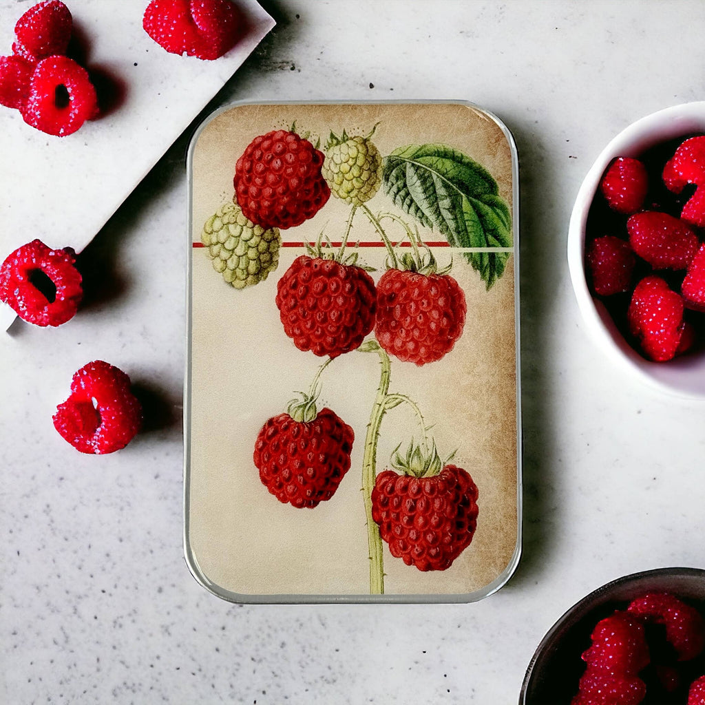 Raspberry Heirloom Notions Tin