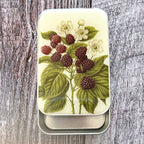 Wild Blackberry Botanical Heirloom Notions Tin