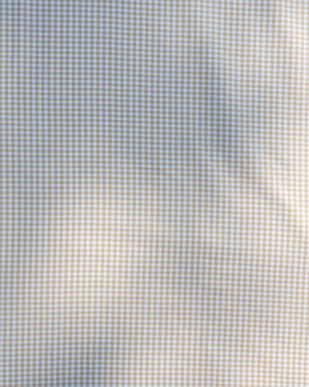 Sand ~ Carolina Gingham