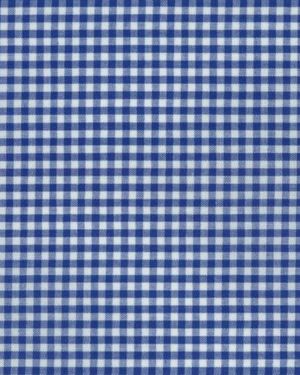 Royal ~ Carolina Gingham