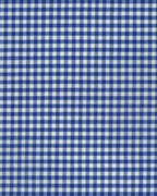 Royal ~ Carolina Gingham