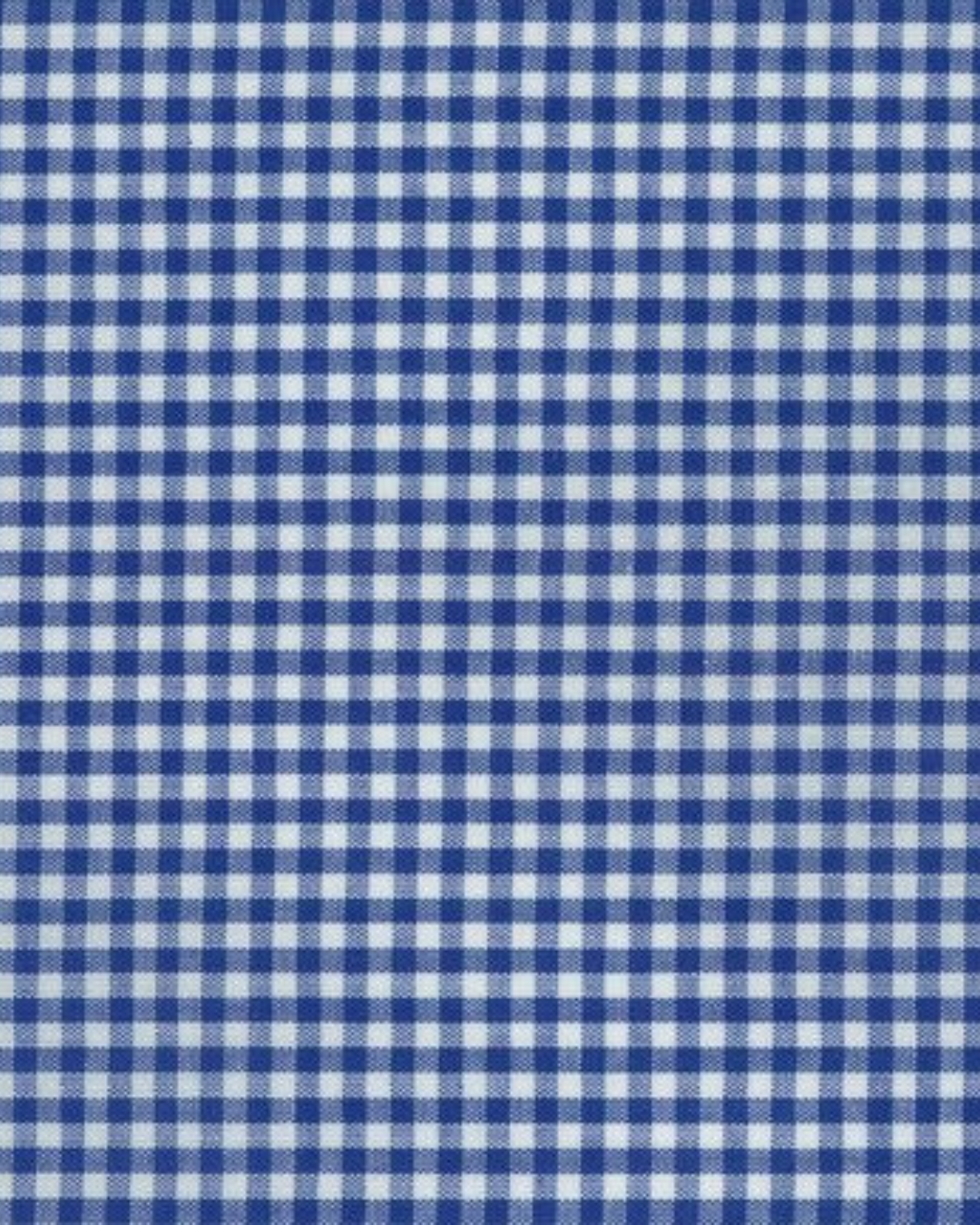 Royal ~ Carolina Gingham