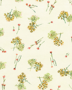 Natural Floral ~ Bloomfield Love
