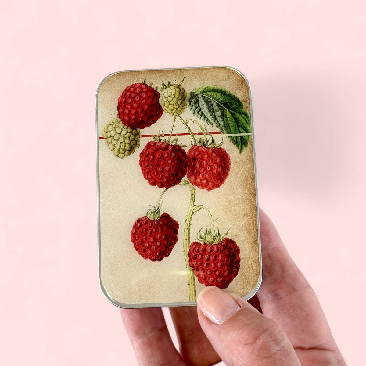 Raspberry Heirloom Notions Tin