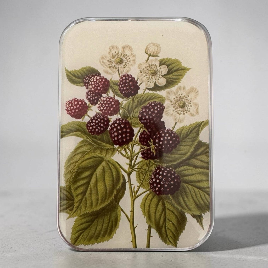 Wild Blackberry Botanical Heirloom Notions Tin