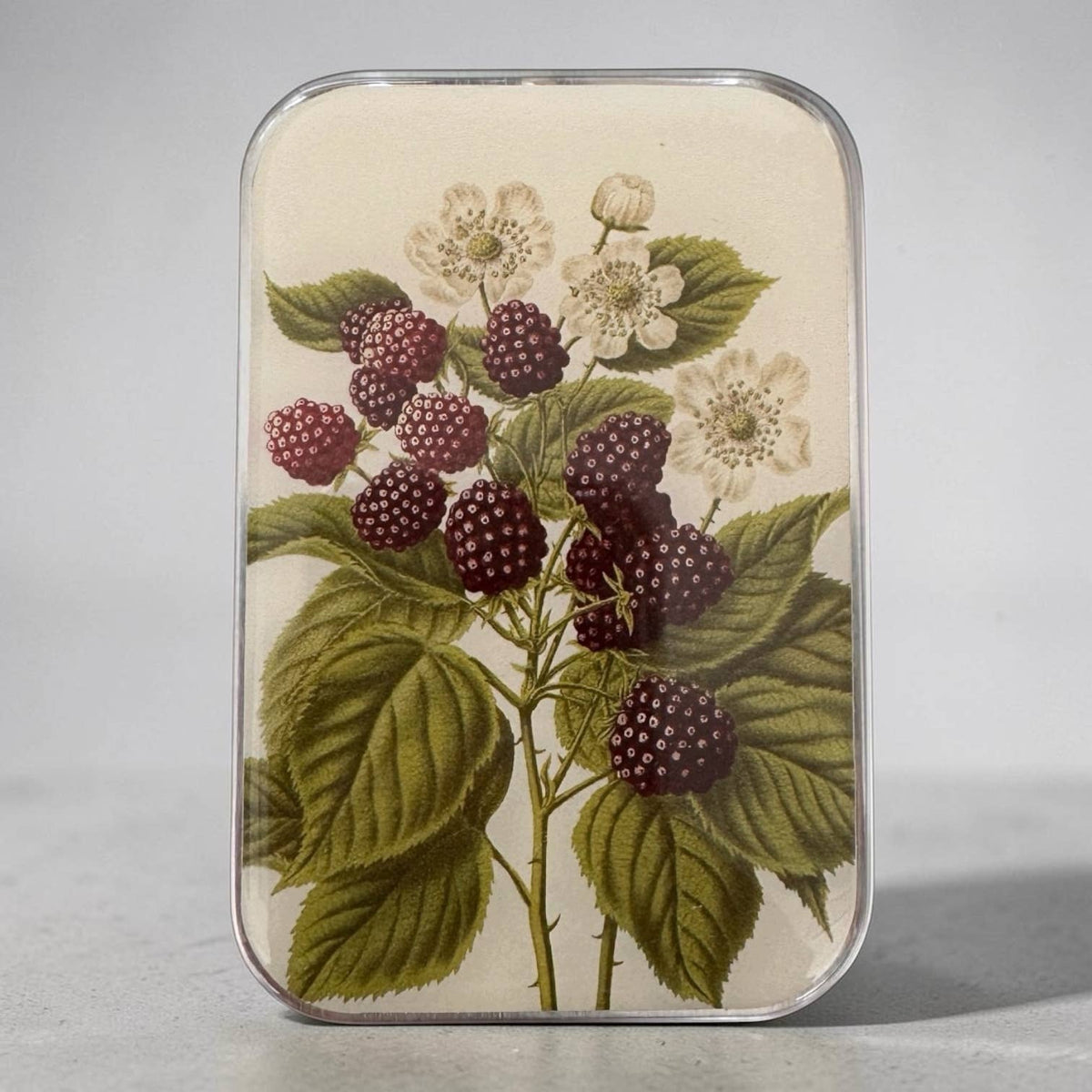Wild Blackberry Botanical Heirloom Notions Tin