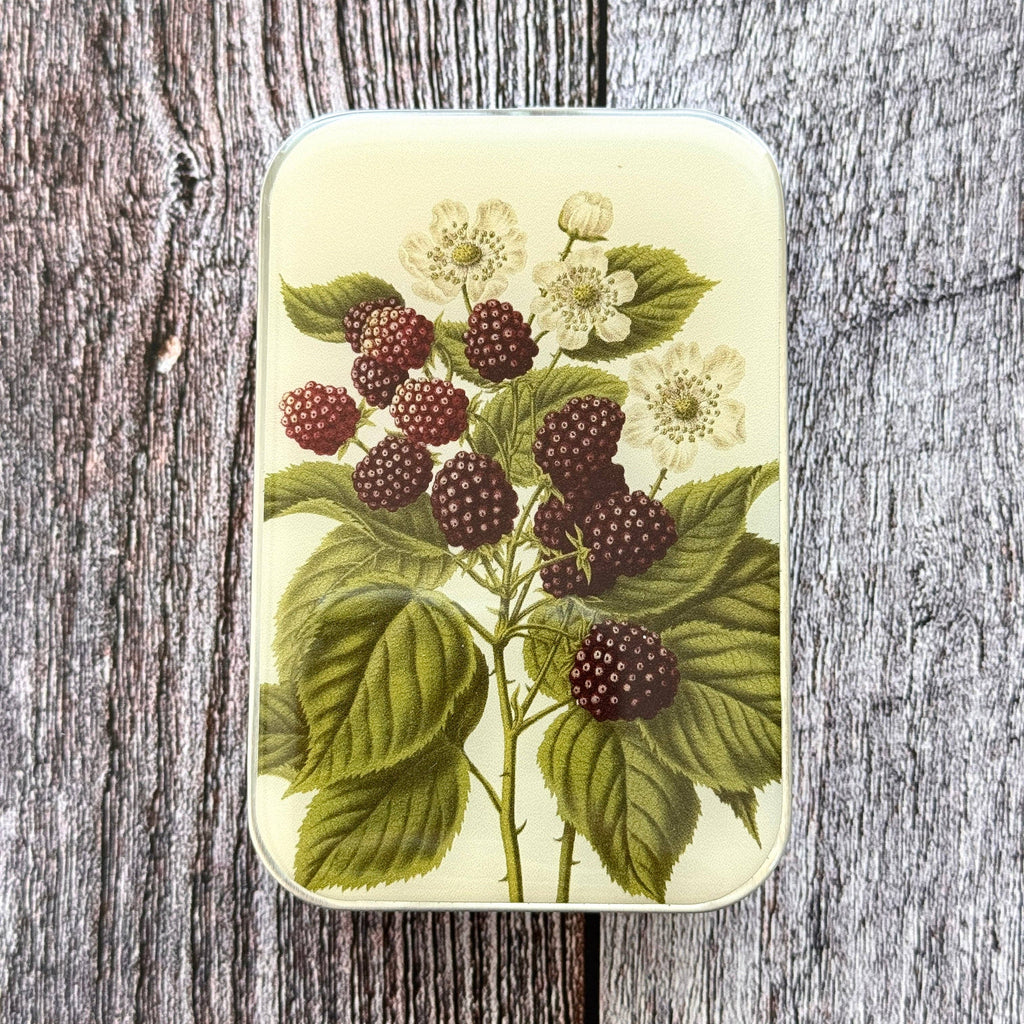 Wild Blackberry Botanical Heirloom Notions Tin