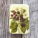 Wild Blackberry Botanical Heirloom Notions Tin