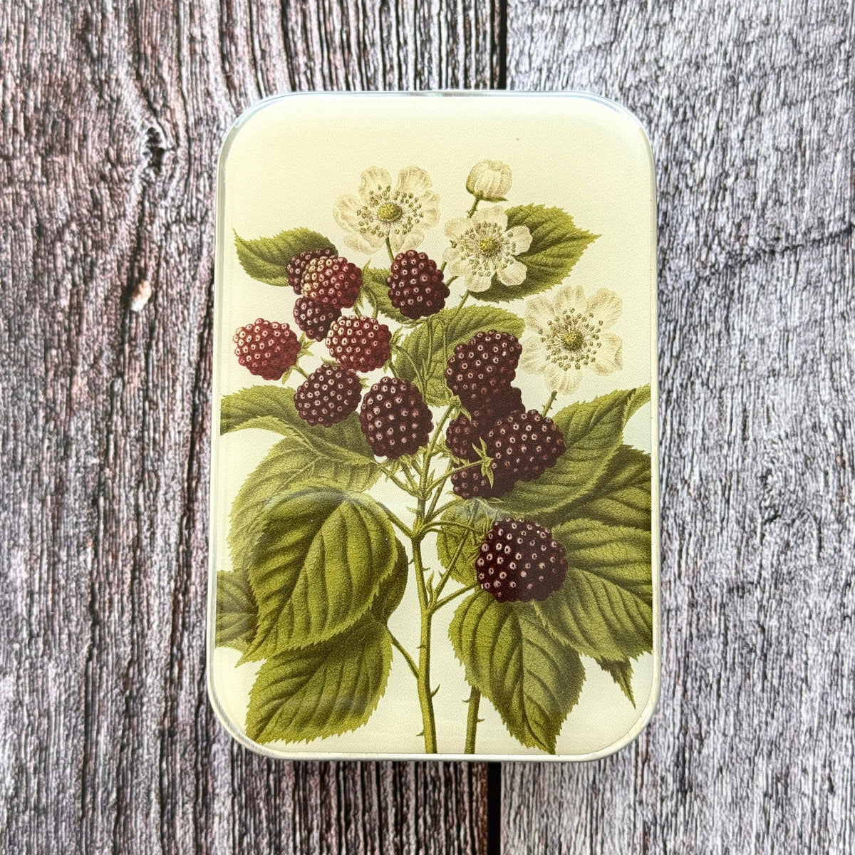 Wild Blackberry Botanical Heirloom Notions Tin
