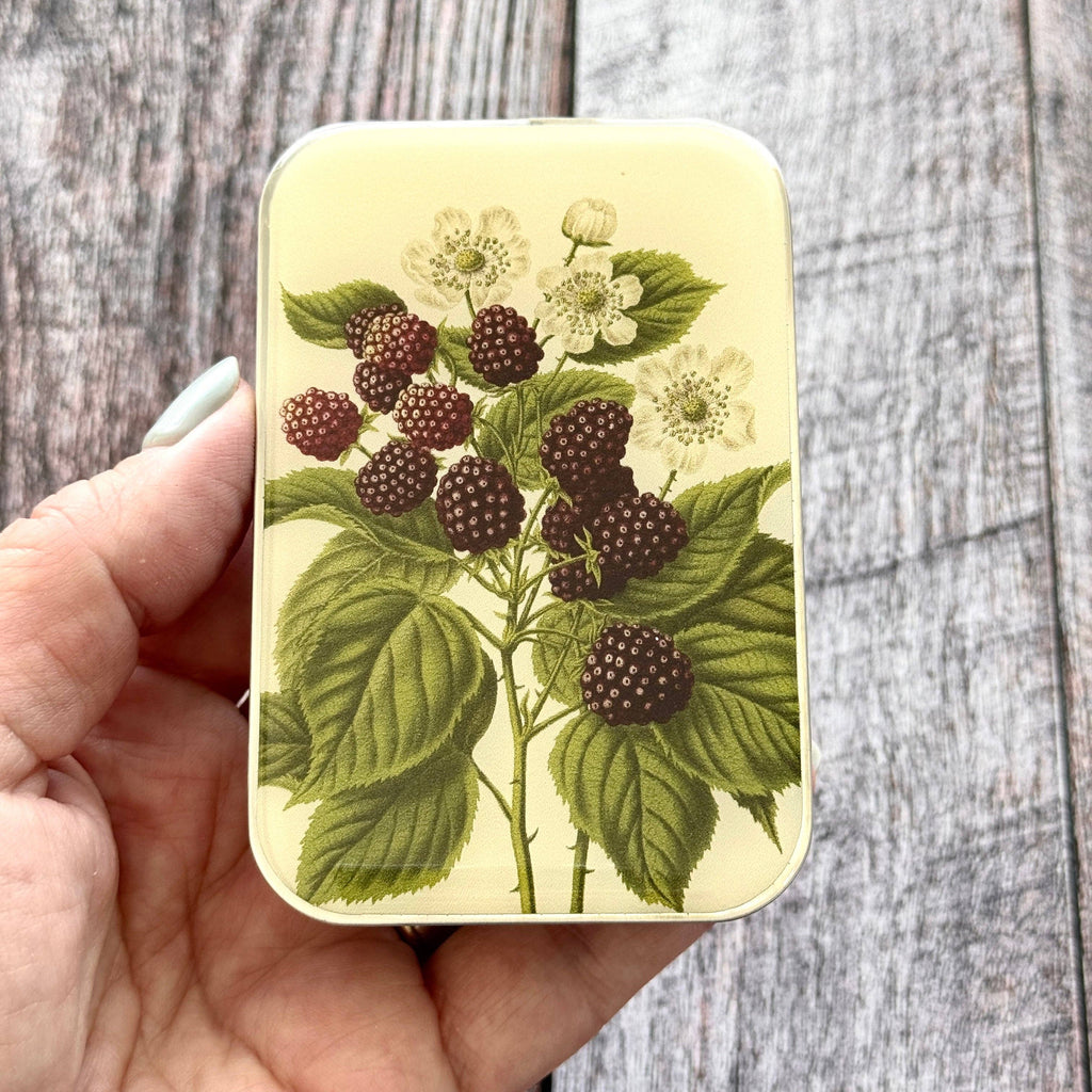 Wild Blackberry Botanical Heirloom Notions Tin